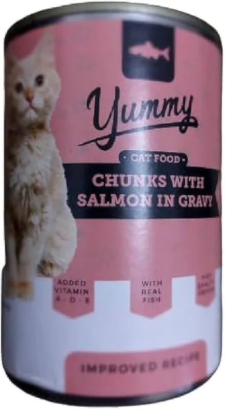 Yummy Wet Cat Food Chunks