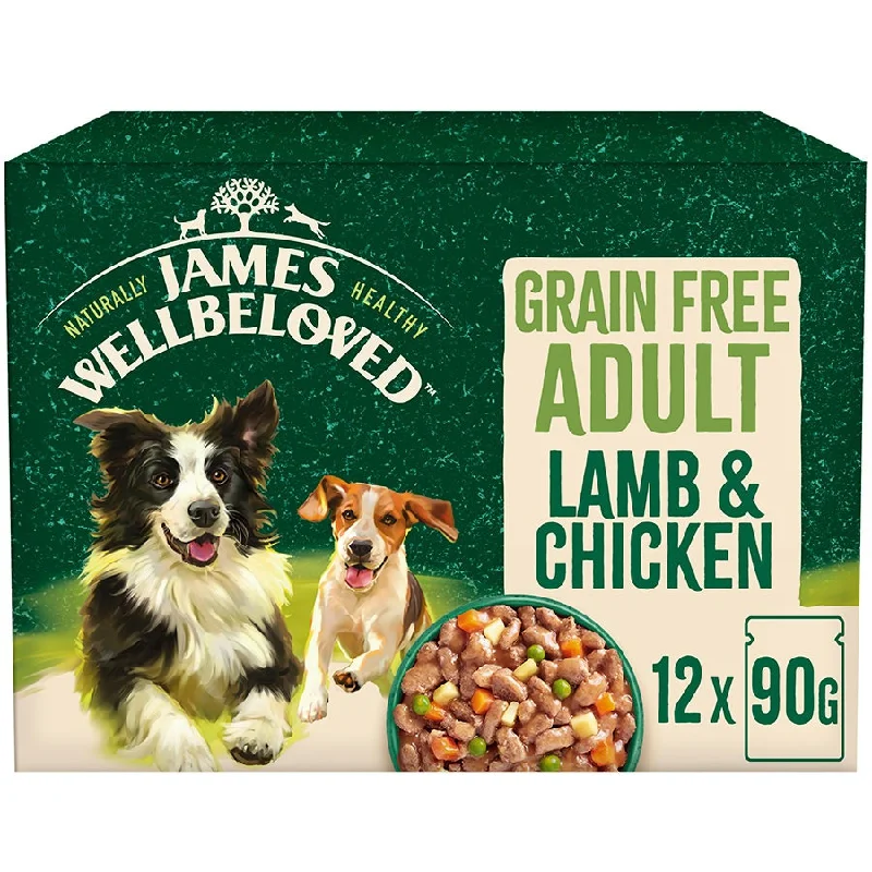 James Wellbeloved Grain Free Adult Lamb & Chicken in Gravy Pouch 12x90g