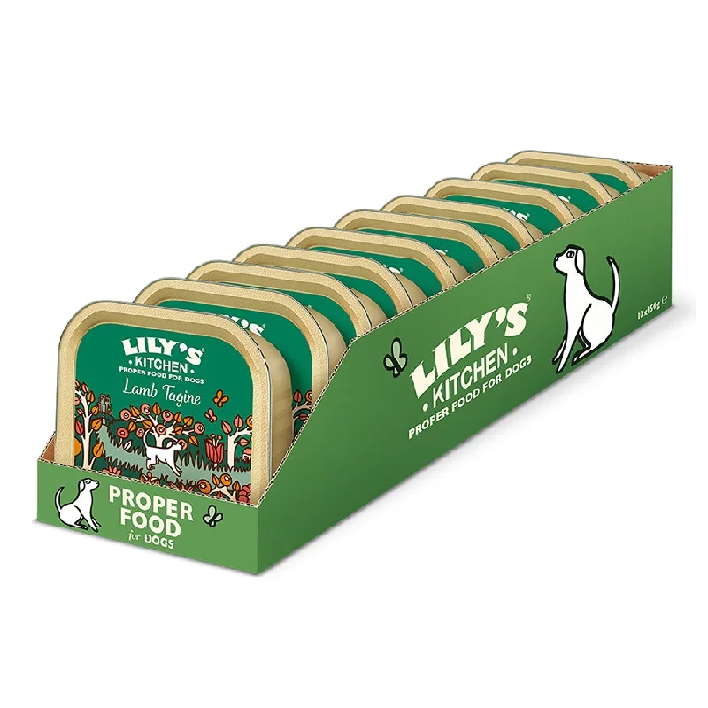 Lily's Kitchen Lamb Tagine for Dogs 150g x 10