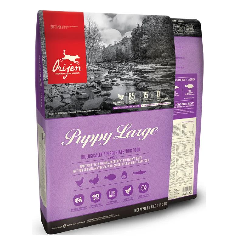 Large Puppy Dry Dog Food