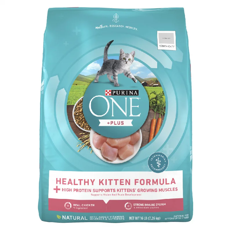 Purina ONE +Plus Healthy Kitten Dry Cat Food