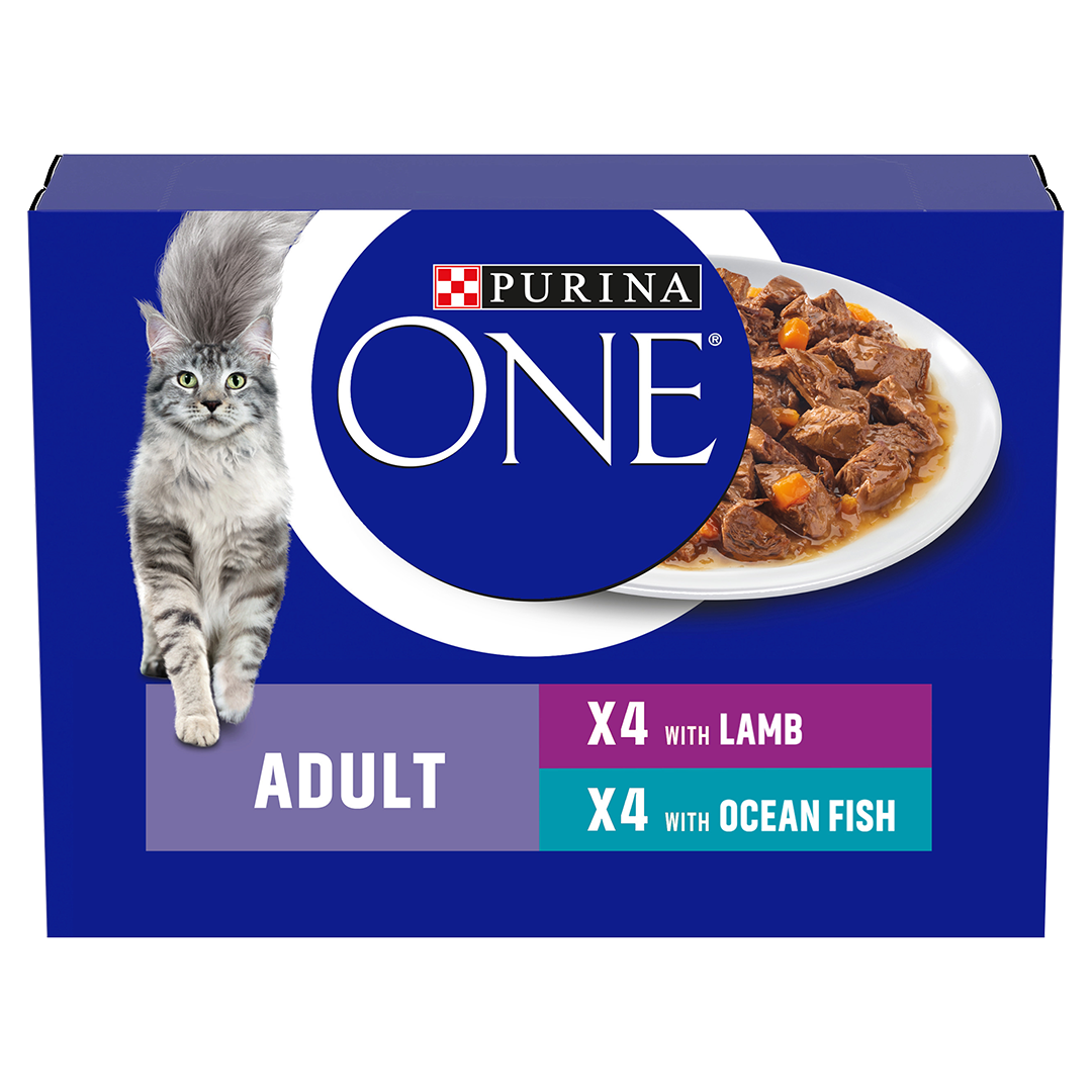 Purina One Ocean Fish & Lamb Adult Mini Fillets In Gravy