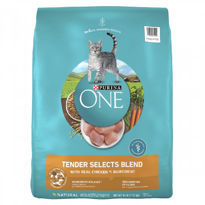 Purina ONE Tender Selects Blend Real Chicken Dry Cat Food