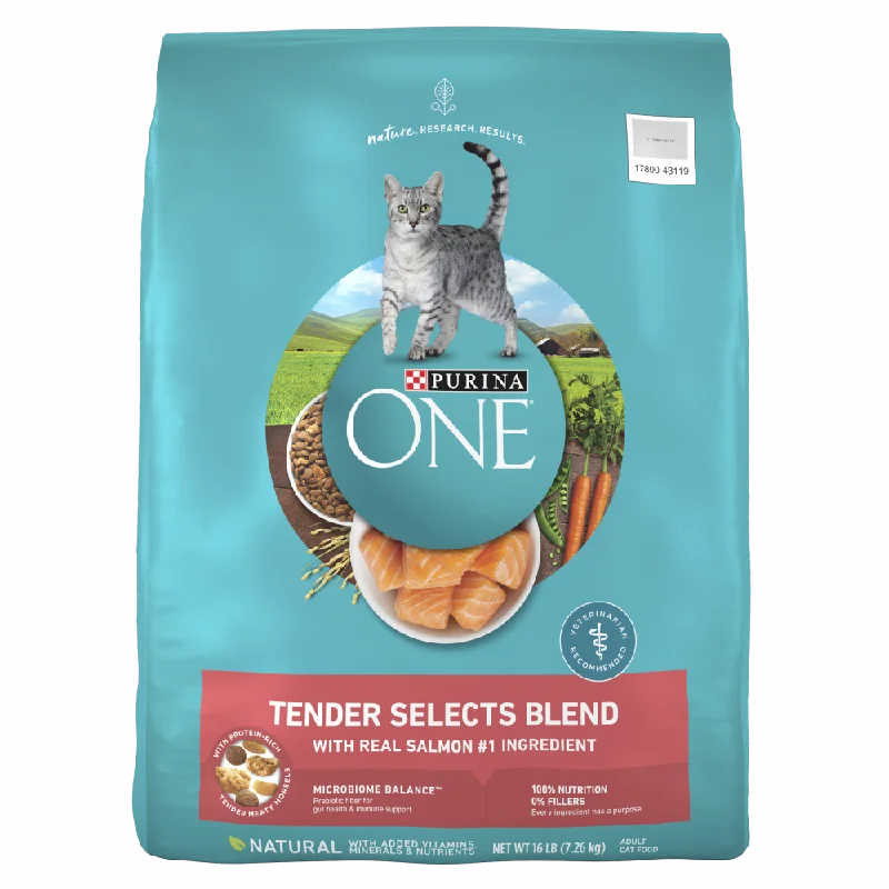 Purina ONE Tender Selects Blend Real Salmon Dry Cat Food