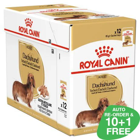 Royal Canin Adult Dachshund (Loaf) 85g x 12 Sachets