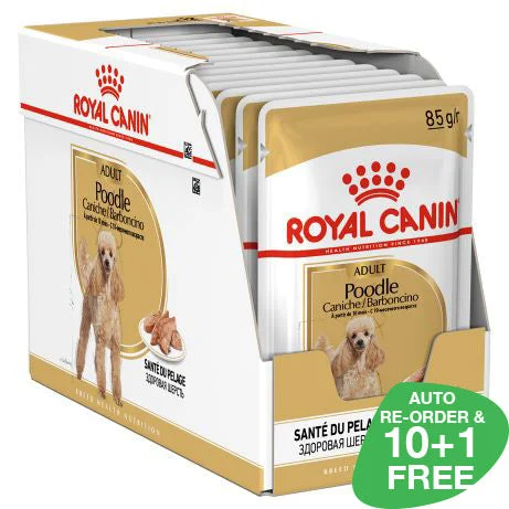 Royal Canin Adult Poodle (Loaf) 85g x 12 Sachets