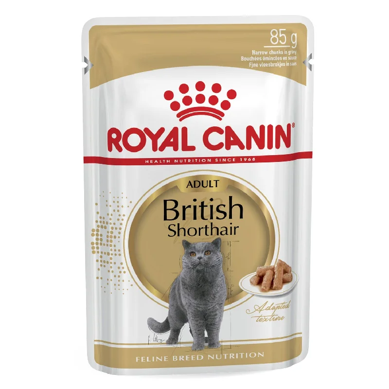 Royal Canin British Shorthair Gravy Adult Wet Cat Food Pouches