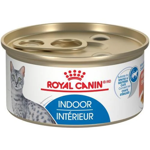 Royal Canin Adult Feline Health Nutrition Morsels in Gravy Cat Food for Indoor Cats