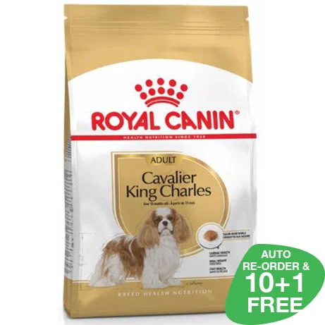 Royal Canin Cavalier King Charles Spaniel