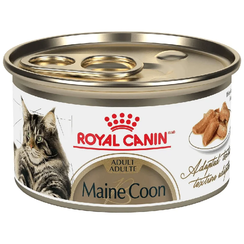 Royal Canin Maine Coon Canned Cat Food