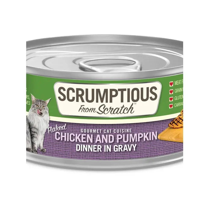 Scrumptious From Scratch Chicken & Pumpkin Dinner in Gravy Pack Wet Cat Food 12/2.8oz