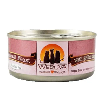 Weruva Mideast Feast Food for Cats - 3 oz.