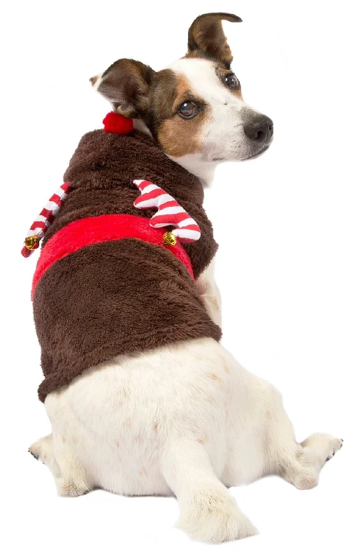 Candy Cane Dog Christmas Sweater w/ Hood